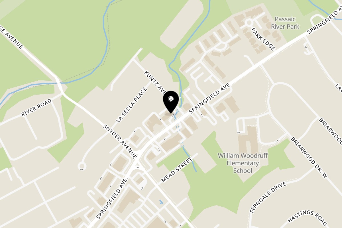 Map showing the location of Neelam Indian Cuisine on 295 Springfield Ave in Berkeley Heights